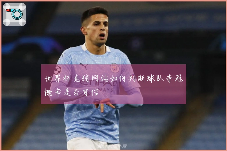 世界杯竞猜网站如何判断球队夺冠概率是否可信