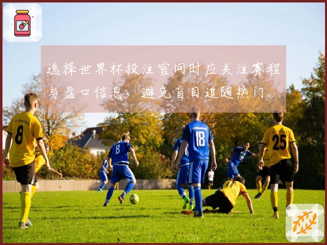 选择世界杯投注官网时应关注赛程与盘口信息,避免盲目追随热门。
